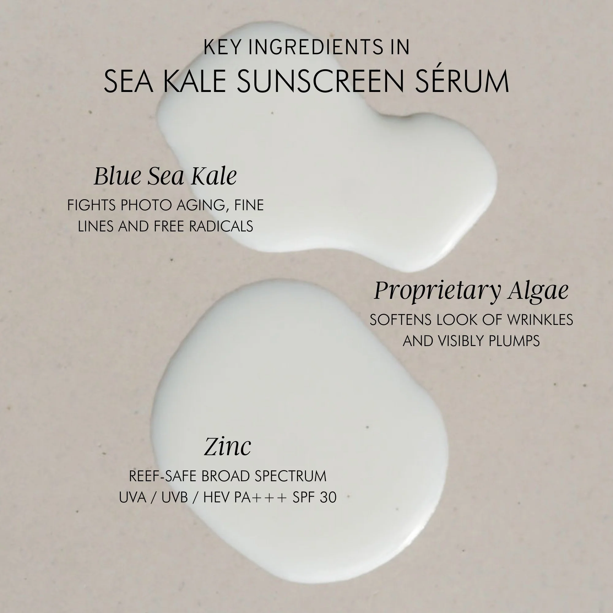Mara Sea Kale Sunscreen Serum SPF30 - Image 2